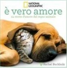 Rachel Buchholz - È vero amore! 24 storie d'amore dal regno animale