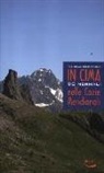 Michelangelo Bruno - In cima. 90 normali nelle Cozie meridionali