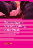 Jochen Theis - Nachhaltigkeitsberichterstattung in der Praxis - Anwendung im DAX 30