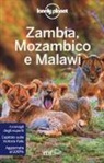 James Bainbridge, Mary Fitzpatrick, Trent Holden, Brendan Sainsbury - Zambia, Mozambico e Malawi