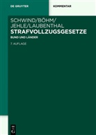 Alexande Böhm, Alexander Böhm, Jörg-Martin Jehle, Jörg-Martin Jehle u a, Klaus Laubenthal, Hans-Dieter Schwind - Strafvollzugsgesetze