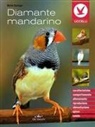 Michel Bolzinger - Diamante mandarino