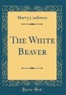 Harry Castlemon - The White Beaver (Classic Reprint)