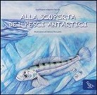 Eva Pisano, Marino Vacchi, F. Boccardo - Alla scoperta dei pesci antartici. Ediz. italiana e inglese