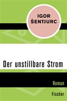 Igor Sentjurc, Igor Šentjurc - Der unstillbare Strom