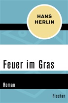 Hans Herlin - Feuer im Gras