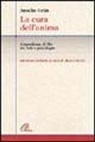 Grün Anselm, M. Guzzi - La cura dell'anima. L'esperienza di Dio tra fede e psicologia