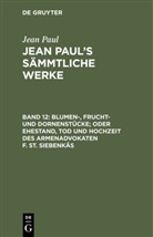 Jean Paul - Jean Paul: Jean Paul's Sämmtliche Werke - Band 12: Blumen-, Frucht- und Dornenstücke; oder Ehestand, Tod und Hochzeit des Armenadvokaten F. St. Siebenkäs