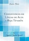 Manuel Marín Bonell - Coexistencia de Líneas de Alta y Baja Tensión (Classic Reprint)