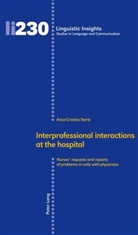 Anca-Cristina Sterie, Maurizio Gotti - Interprofessional interactions at the hospital