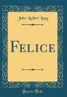 John Luther Long - Felice (Classic Reprint)