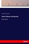 Friedrich Gerstäcker - Unter Palmen und Buchen