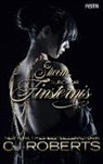 CJ Roberts - Sturm durch die Finsternis