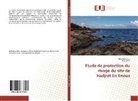 Bila Belloulou, Bilal Belloulou, Aissa Gana - Etude de protection du rivage du site de Hadjret En Enous