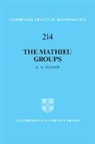 A. A. Ivanov, A. A. (Imperial College London) Ivanov, Ivanov A. A. - Mathieu Groups