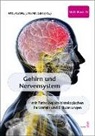 Wolfgang J. Weninger - Gehirn und Nervensystem