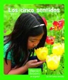 Maryellen Gregoire - Los Cinco Sentidos