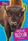 Jill Sherman - American Bison