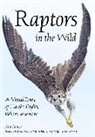 Rob Palmer - Raptors in the Wild