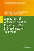 Lui Alejandro Galeano, Luis Alejandro Galeano, Miguel Ángel Vicente, Luis Alejandro Galeano, Antonio Gil, Miguel Ángel Vicente - The Handbook of Environmental Chemistry - 67: Applications of Advanced Oxidation Processes (AOPs) in Drinking Water Treatment