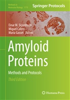Migue Calero, Miguel Calero, María Gasset, Einar M. Sigurdsson - Amyloid Proteins