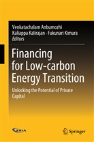 Venkatachalam Anbumozhi, Kaliapp Kalirajan, Kaliappa Kalirajan, Fukunari Kimura - Financing for Low-carbon Energy Transition