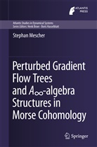 Stephan Mescher - Perturbed Gradient Flow Trees and A -algebra Structures in Morse Cohomology