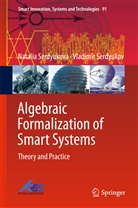 Vladimir Serdyukov, Natali Serdyukova, Natalia Serdyukova - Algebraic Formalization of Smart Systems