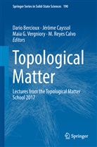 Dario Bercioux, Jérôm Cayssol, Jérôme Cayssol, Maia G Vergniory et al, Maia Garcia Vergniory, M. Reyes Calvo... - Topological Matter