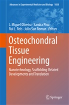 Rui L Reis et al, J. Miguel Oliveira, Miguel Oliveira, Sandr Pina, Sandra Pina, Rui Reis... - Osteochondral Tissue Engineering