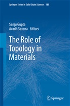 Sanj Gupta, Sanju Gupta, Saxena, Saxena, Avadh Saxena - The Role of Topology in Materials