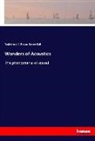 Robert Ball, Rodolphe J Radau, Rodolphe J. C. Radau - Wonders of Acoustics