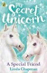 Linda Chapman - My Secret Unicorn