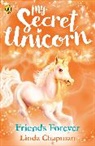 Linda Chapman - My Secret Unicorn: Friends Forever