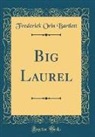 Frederick Orin Bartlett - Big Laurel (Classic Reprint)