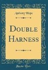 Anthony Hope - Double Harness (Classic Reprint)
