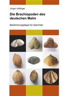 Jürgen Höflinger - Die Brachiopoden des deutschen Malm