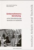 Peter Ittermann, Hans J. Sperling - Unternehmensberatung, eine Dienstleistungsbranche im Aufwind