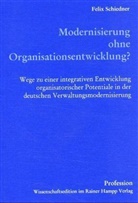 Felix Schiedner - Modernisierung ohne Organisationsentwicklung?