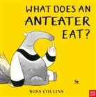 Ross Collins, Collins Ross - What Does an Anteater Eat?