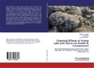 Faramarz Deyhim, Fakhr Mesri, Fakhri Mesri, Bahare Sadeghi, Bahareh Sadeghi - Chemical Effects of Urmia Lake Salt Storm on Health & Environment