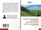 Yao Bernard Koffi - Production d'igname dans les jachères à Chromolaena odorata