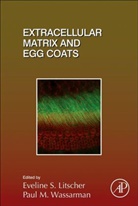 Eveline (EDT)/ Wassarman Litscher, Eveline Litscher, Paul Wassarman, Paul M Wassarman, Paul M. Wassarman - Extracellular Matrix and Egg Coats