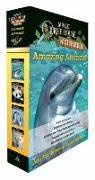 Natalie Pope Boyce, Sal Murdocca, Mary Pope Osborne, Sal Murdocca - Amazing Animals! Magic Tree House Fact Tracker Boxed Set