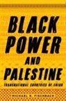Michael R Fischbach, Michael R. Fischbach - Black Power and Palestine