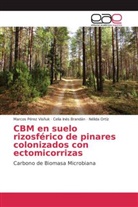 Celia Iné Brandán, Celia Inés Brandán, Né Ortíz, Nélida Ortíz, Marco Pérez Visñuk, Marcos Pérez Visñuk - CBM en suelo rizosférico de pinares colonizados con ectomicorrizas