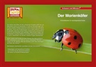 Der Marienkäfer / Kamishibai Bildkarten