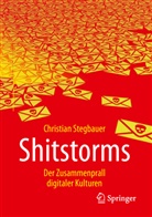 Christian Stegbauer - Shitstorms