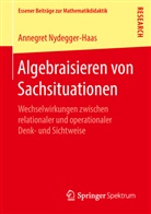 Annegret Nydegger-Haas - Algebraisieren von Sachsituationen