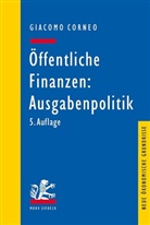 Giacomo Corneo - Öffentliche Finanzen: Ausgabenpolitik